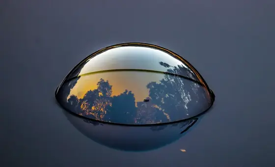 A reflection of the surroundings inside a water droplet.